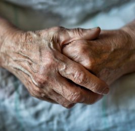 За гранью регламента 