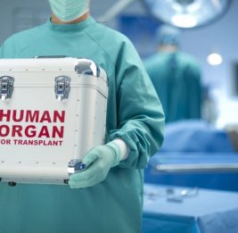 В Азербайджане за последний год проведена трансплантация органов от 11 посмертных доноров