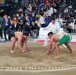 Азербайджанский сумоист впервые выступил в Японии на кубке Хакухо