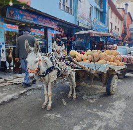 Власти Афганистана будут выдавать ВНЖ в обмен на инвестиции