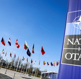 Лидер страны НАТО призвал к переговорам с Путиным