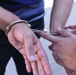 Азербайджан и другие страны передали разыскиваемых лиц Турции