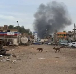 В Судане при ударе беспилотника по автомобилю погибли 24 человека