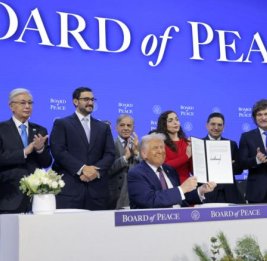 Евродепутат Картайзер: Совет мира не сможет стать альтернативой ООН