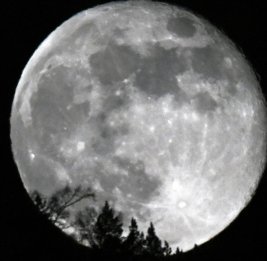 Маск высказался о масштабном возвращении на Луну