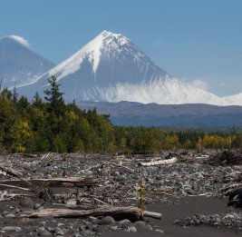 На Камчатке зафиксировали землетрясение магнитудой 5,8