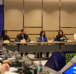 Нигяр Арпадараи: Азербайджан и Турция укрепляют сотрудничество в рамках подготовки к СОР31