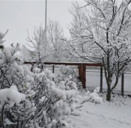 В Азербайджане скорость ветра достигла 25 м/с, а высота снежного покрова &mdash; 37 см