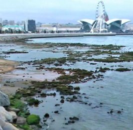 Серьезный фактор риска