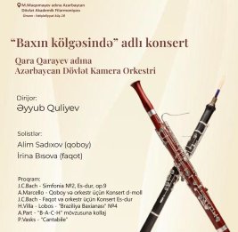 В тени Баха