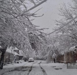 В Джалилабаде и Билясуваре 19 сел остались без света из-за сильного снегопада