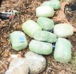 Наркокурьеры попались с поличным