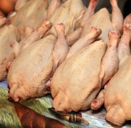 Курица вне зоны риска? 