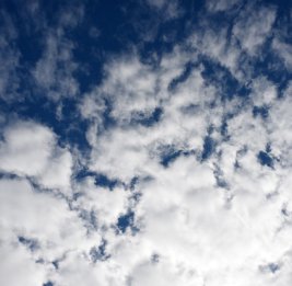 Завтра погода будет преимущественно без осадков