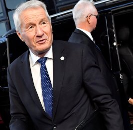 Совет Европы снял иммунитет с экс-генсека в свете расследования по делу Эпштейна