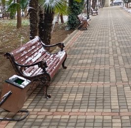 Штраф есть, а урн нет,