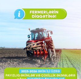 Эффективная финансовая процедура