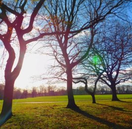 Завтра в Азербайджане ожидается до 18 градусов тепла