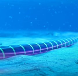 Цифровой хаб на Каспии