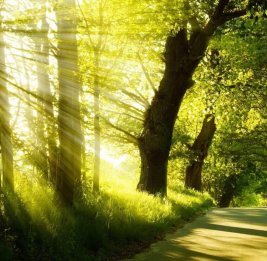 14 февраля в Азербайджане ожидается до 20&deg; тепла