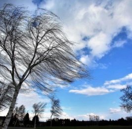 В выходные в Азербайджане ожидается усиление ветра
