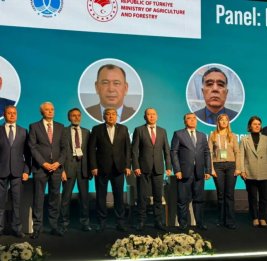 Производители аквакультуры из Азербайджана приняли участие в семинаре ФАО в Анталье