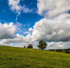 Директор гидрометеобюро рассказала, сколько дней в Азербайджане продлится весенняя погода