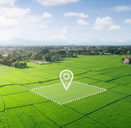 В Азербайджане муниципальные документы на землю не гарантируют права