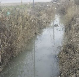 В Кюрдамире из водоканала извлечено тело 60-летнего мужчины
