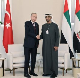 Лидеры Турции и ОАЭ обсудят ситуацию в Палестине, Сирии, Йемене и Сомали