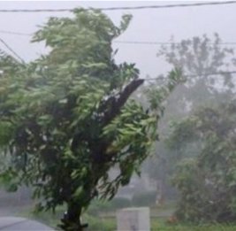 В Баку и регионах наблюдается сильный ветер