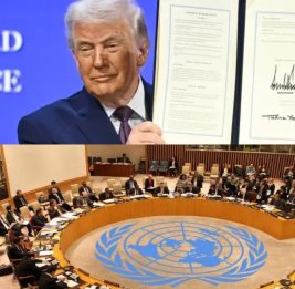 Одних заявлений мало