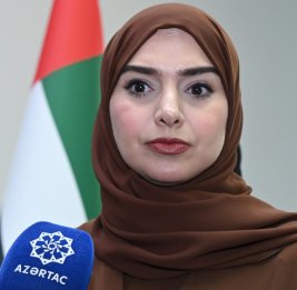 Министр: Связи между ОАЭ и Азербайджаном развиваются по восходящей линии