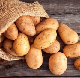 Вырос экспорт картофеля