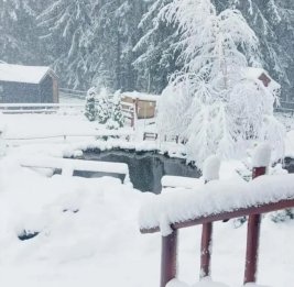 В Румынии спасены застрявшие из-за снегопада в горах свыше 100 человек