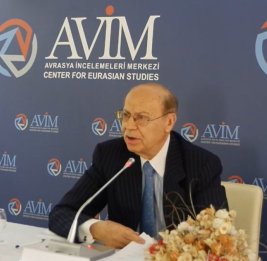 Турецкий дипломат: Декларация о независимости Армении противоречит условиям международных договоров