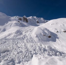 В горах США лавина накрыла группу лыжников, 10 из них пропали