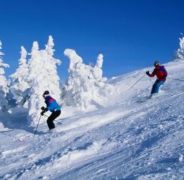 Последний представитель Азербайджана вступает в борьбу на Зимних Олимпийских играх