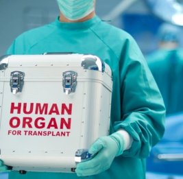 В Азербайджане в 2025 году 21 семья дала согласие на посмертное донорство органов