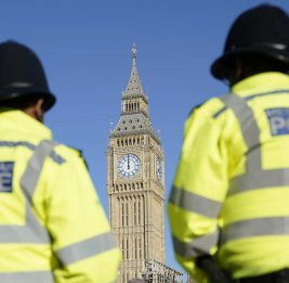 Девять служб полиции Британии подключились к расследованию досье Эпштейна