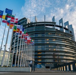 Попробуйте мыслить сами