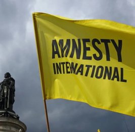 Amnesty International: очередной вопль &laquo;правды&raquo;