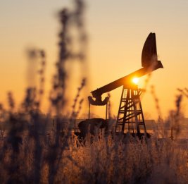 Нефть подорожала на мировых биржах