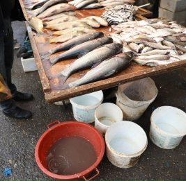 Опасным продуктам не место на прилавках 