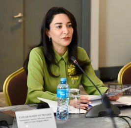 Омбудсмен прокомментировала заявление Amnesty International относительно Рубена Варданяна