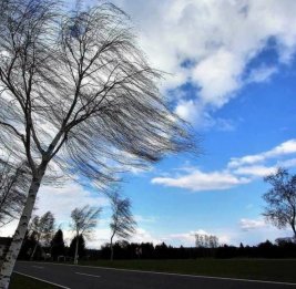 МЧС Азербайджана обратилось к гражданам в связи с ухудшением погодных условий
