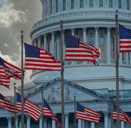 Сенаторы возмущены