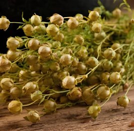 Министерство обратилось к населению по поводу использования &laquo;узерлика&raquo;