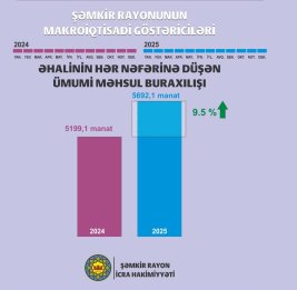 Шамкир демонстрирует рост