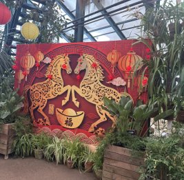 Красная огненная лошадь символ обновления и перемен к лучшему в китайской традиции